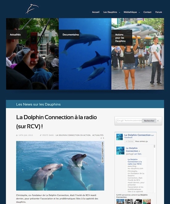 Le Blog sur les Dauphins Le Blog sur les Dauphins